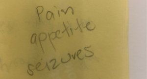 Read more about the article Pain appetite seizures
