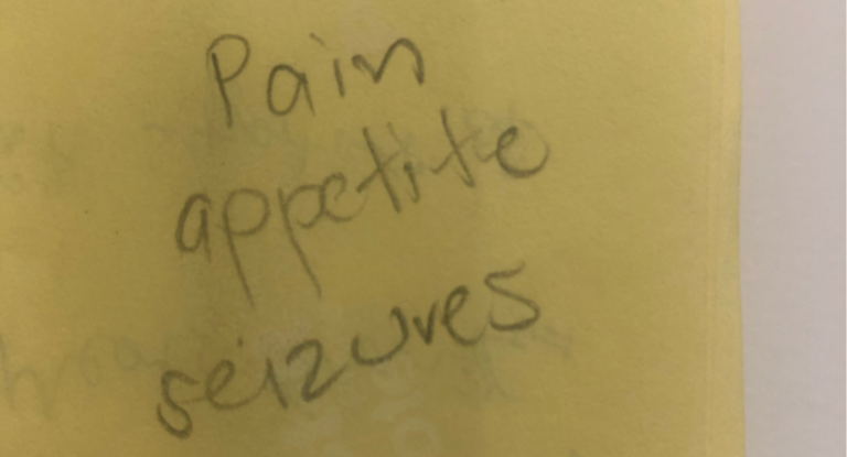 Pain appetite seizures